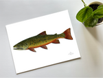 Fishful Thinking Art - Brook Trout Limited Print - 1