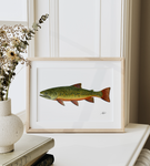 Fishful Thinking Art - Brook Trout Limited Print - 2