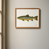 Fishful Thinking Art - Brown Trout Limited Print - 2