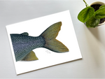 Fishful Thinking Art - Lake Trout Tail Giclee Print - 1