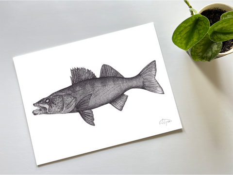 Fishful Thinking Art by Abby Wynia - Walleye Ink Print - 1