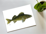 Fishful Thinking Art by Abby Wynia - Walleye Watercolour Print - 1