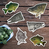 Fishful Thinking Art by Abby Wynia - 3" Vinyl Sticker - 2