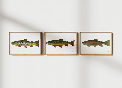 Fishful Thinking Art by Abby Wynia - Rainbow Trout Limited Print - 2