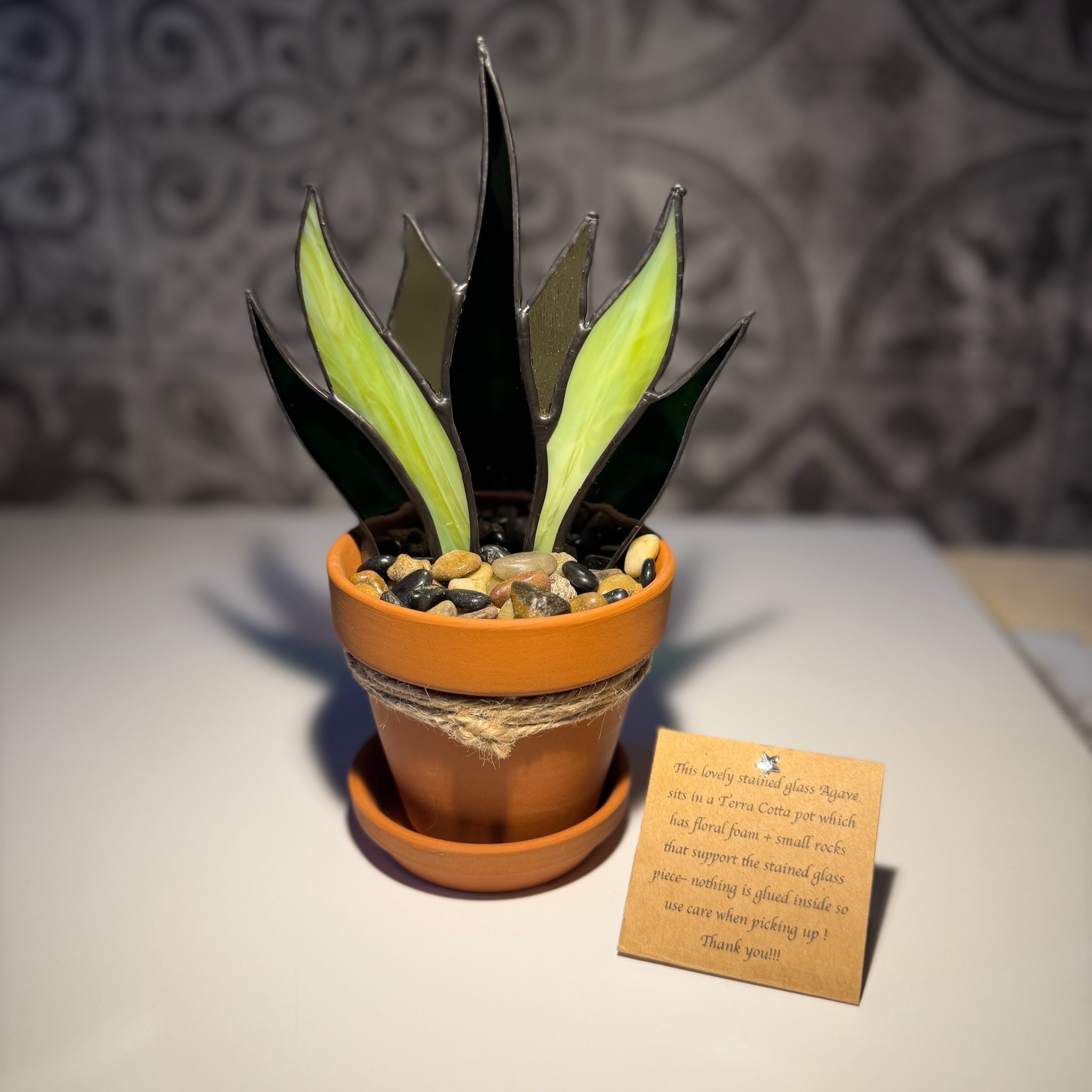 6402539f156d102fec901311_agave_1783085999453.jpeg