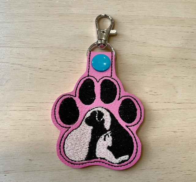 6402539f156d102fec901311_dog-and-cat-pink-blue-snap_1775990847730.jpg