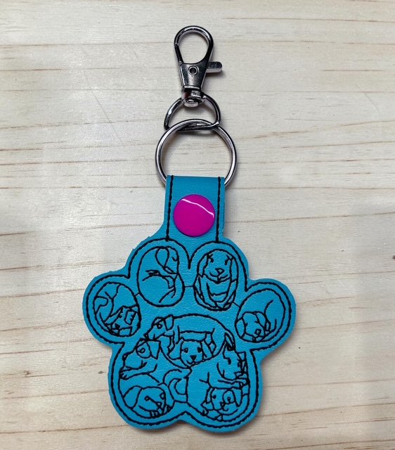 6402539f156d102fec901311_dog-paw-with-dog-faces-teal_1775991171542.jpg