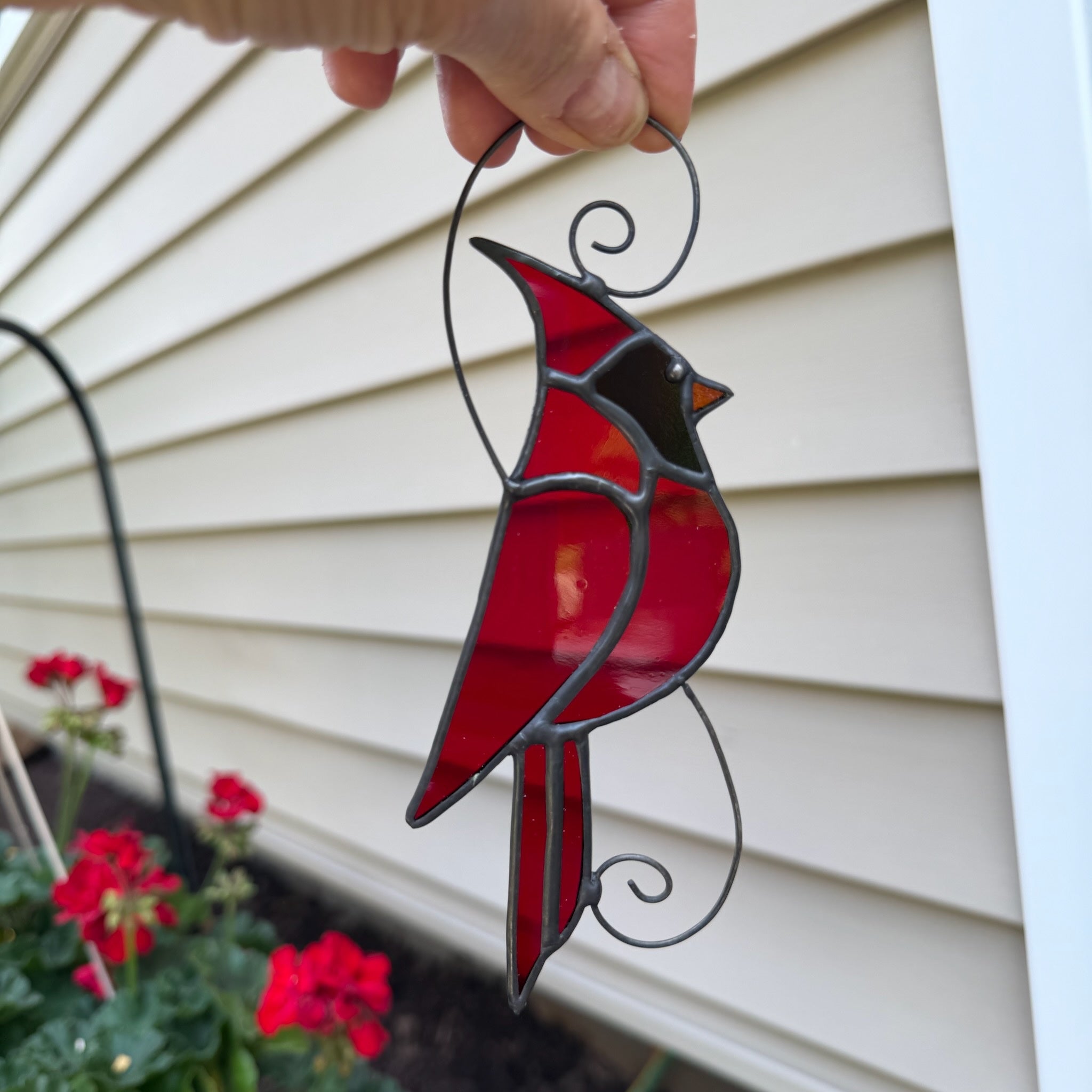 6402539f156d102fec901311_new-cardinal_1781192906560.jpeg