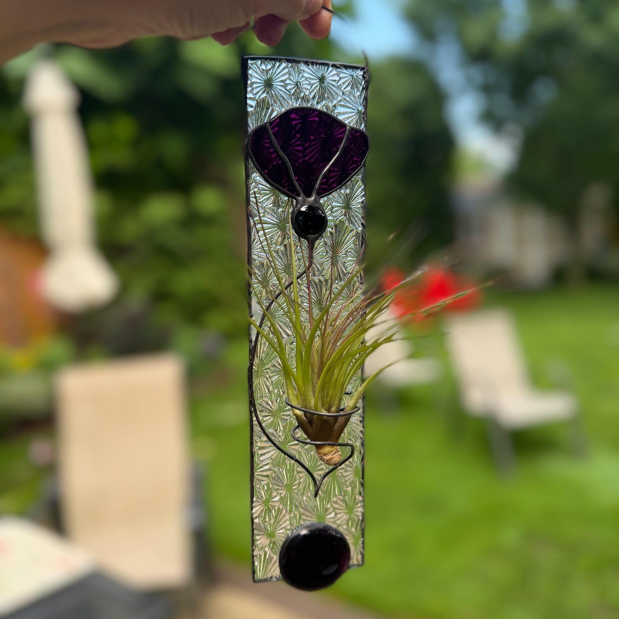 6402539f156d102fec901311_purple-haze-air-plant-holder_1783085797781.jpeg